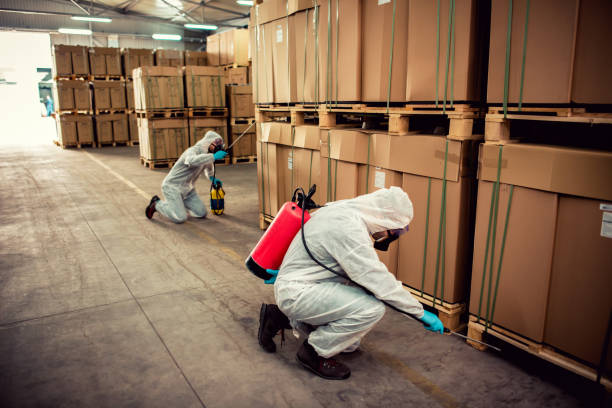 Best Cockroach Control Services  in Rib Mountain, WI