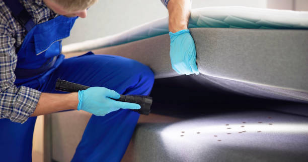 Pest Control Cost in Rib Mountain, WI